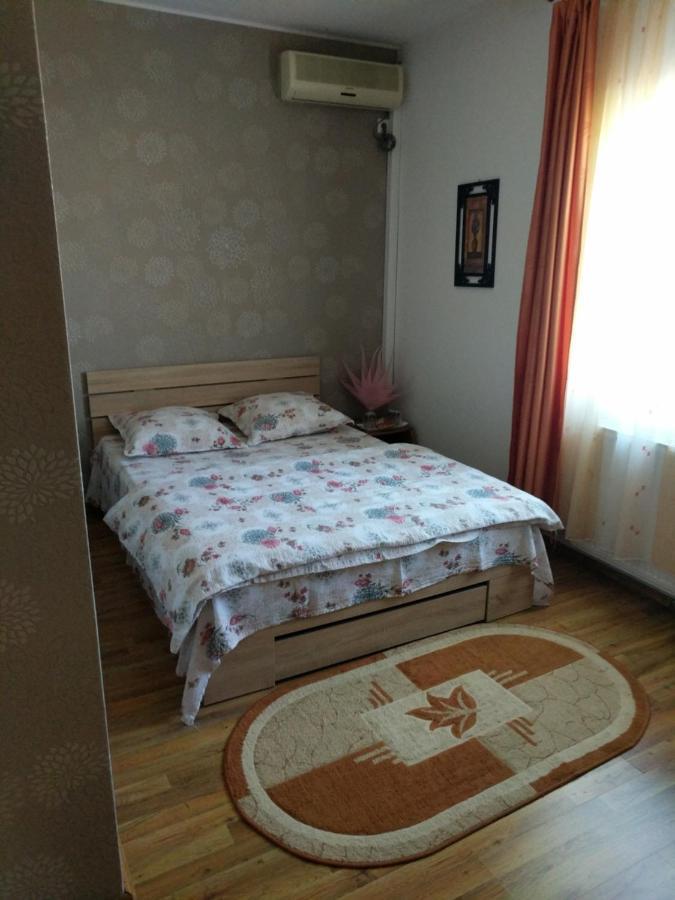 Pensiunea Vladut Тимишоара Екстериор снимка